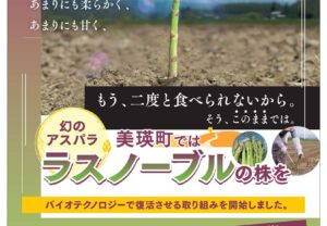 【北海道美瑛町】幻のアスパラ「ラスノーブル」苗復活プロジェクト！