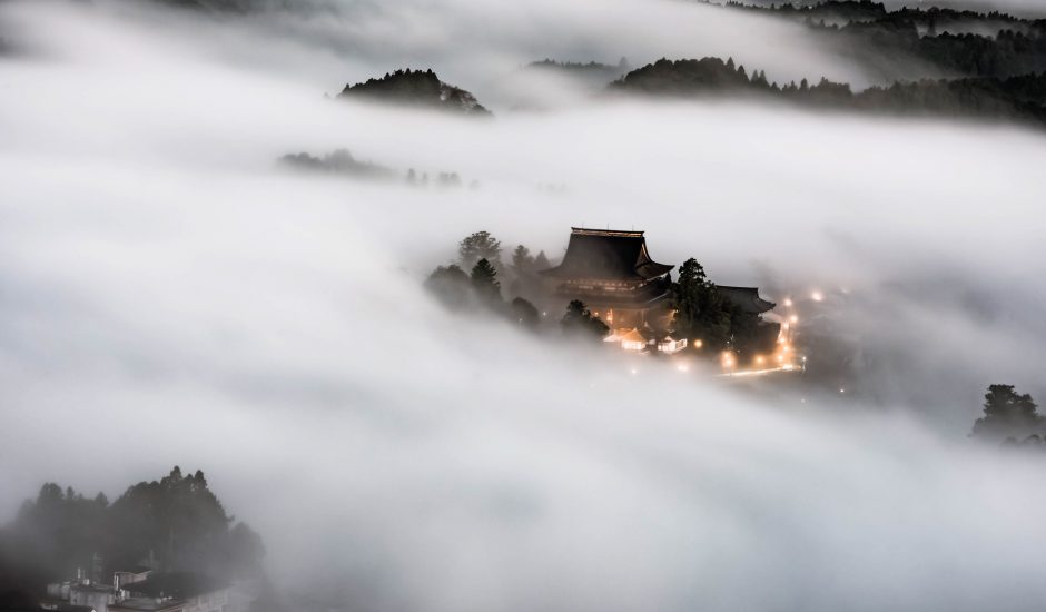 吉野町_高藤大稔