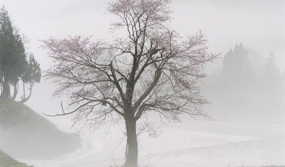 飯豊町_残雪と霧に包まれて