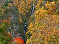 松川渓谷と笠岳山麓の自然美