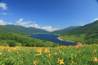 野反湖の環境保存型景観