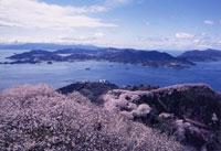 桜の名勝「積善山」と瀬戸内海多島美景観