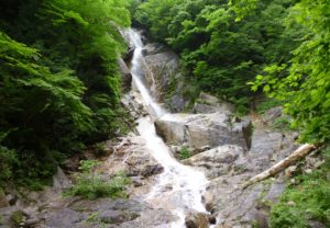 【長野県・南木曽町】日本の滝百選「田立の滝」