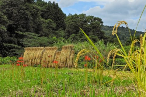 【群馬県・中之条町伊参】撮影ツアーが開催されます!!!📷