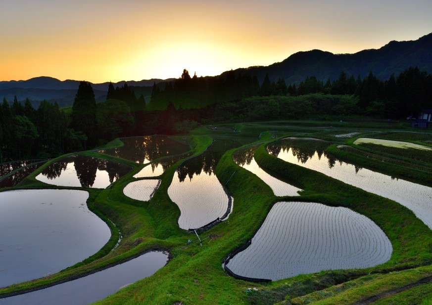 兵庫県香美町小代 日本の棚田百選 にも選ばれる 美しい うへ山の棚田 日本で最も美しい村 連合