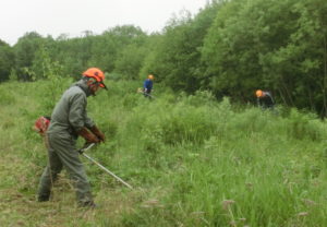 【北海道標津町】「標津の森を守る会」で高齢者施設周辺の草刈りを実施