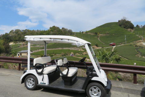 【京都府和束町】茶畑を周遊するグリーンスローモビリティ―(小型電気自動車)を活用した実証実験がスタート