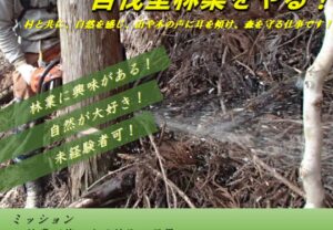 募集期間延長【高知県馬路村】地域おこし協力隊で自伐型林業をやる！