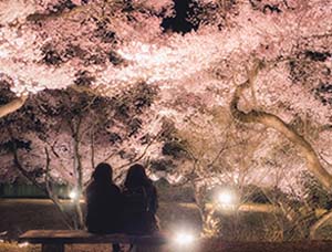 「日本で最も美しい村」の情景が伝わる9つのテーマ ロマンティックな村