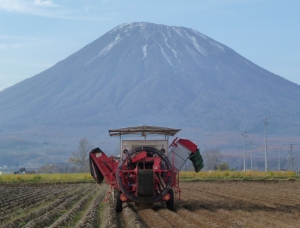 「日本で最も美しい村」の情景が伝わる9つのテーマ 村の空・山・海